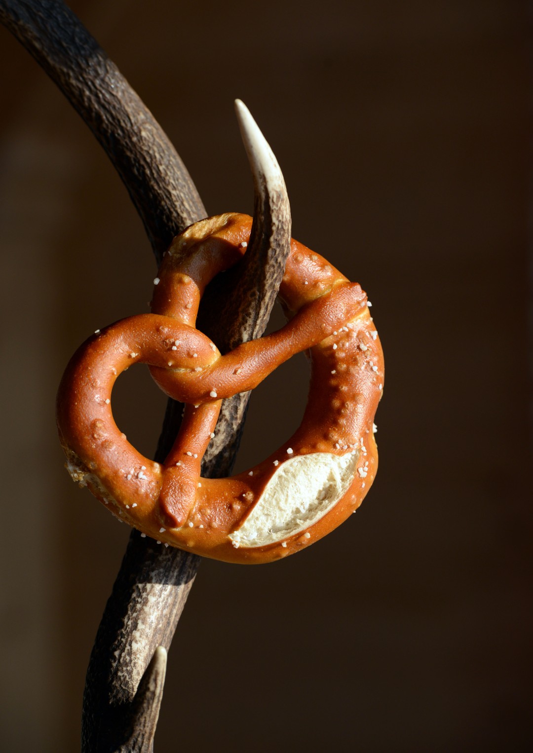 10x12_almhuette_winter (67)