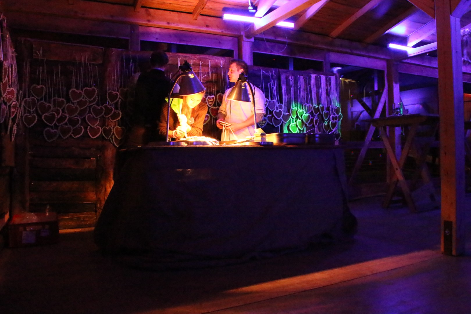 almhuette_nacht (11)